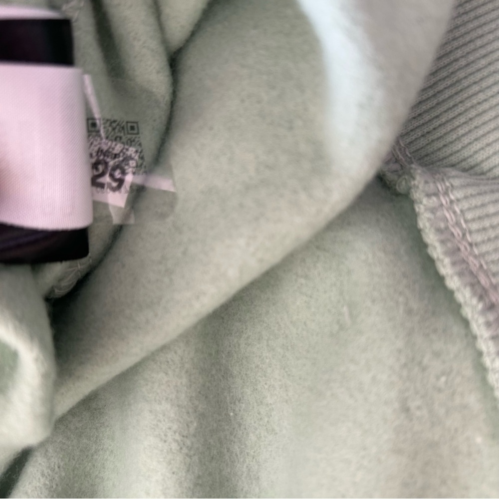 NEW The North Face Evolution pullover fleece hoodie in Misty Sage Size S - Picture 13 of 13